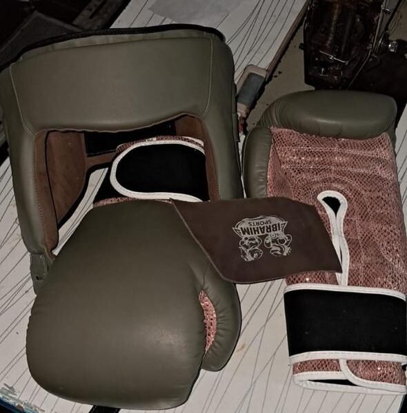 Olive Green & Metallic Snakeskin Sparring Set
